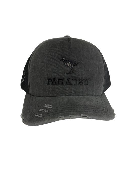 (H)P0022026